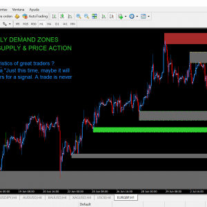 TUTORIAS ONE TO ONE DE SUPPLY DEMAND