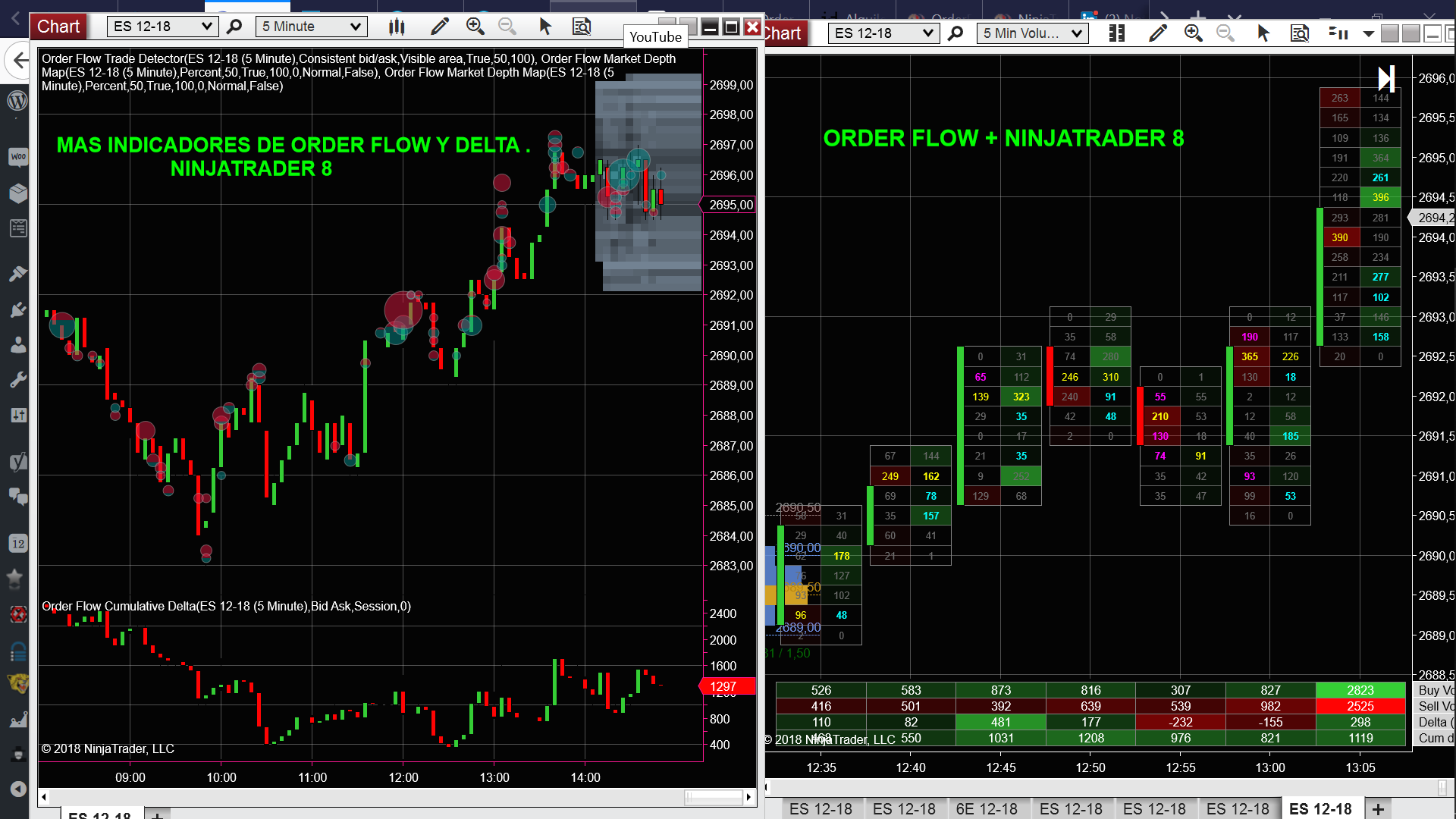 order flow ninjatrader 8 español